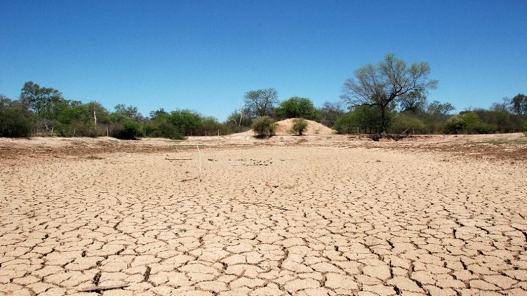 5f400c685c14a_992_558!