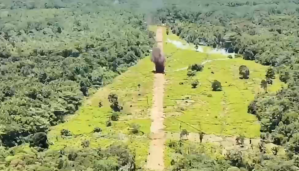 Captura de pantalla 2026-09-11 125618